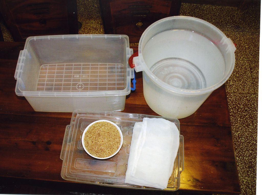 「愛玉凍」製作