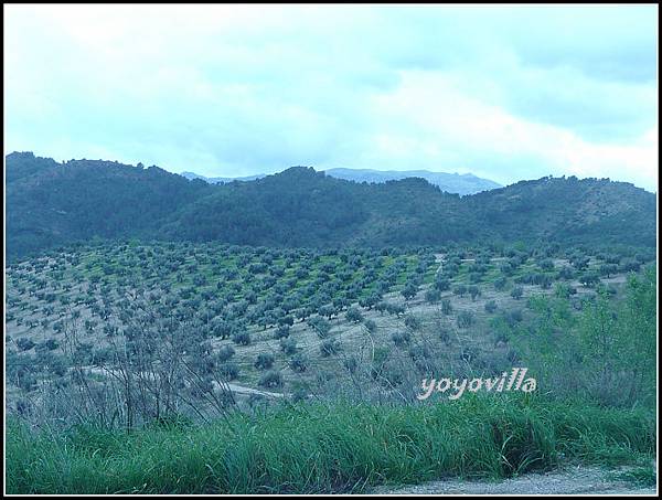 西班牙 隆達 Ronda, Spain 西班牙 隆達 Ronda, Spain