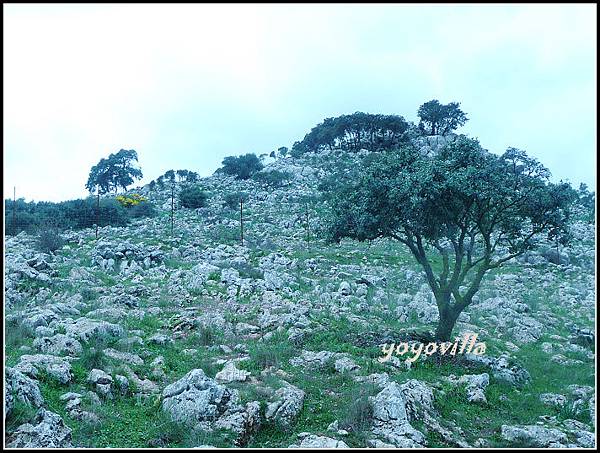 西班牙 隆達 Ronda, Spain 西班牙 隆達 Ronda, Spain
