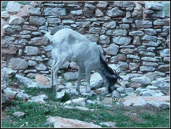西班牙 隆達 Ronda, Spain 西班牙 隆達 Ronda, Spain