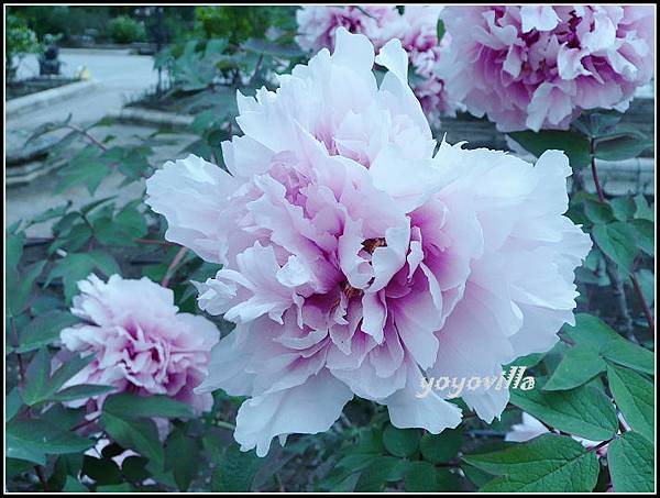 西班牙 隆達 Ronda, Spain 西班牙 隆達 Ronda, Spain