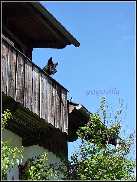 奧地利 哈爾施塔特 Hallstatt, Austria 奧地利 哈爾施塔特 Hallstatt, Austria