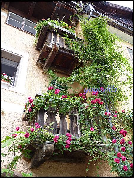 奧地利 哈爾施塔特 Hallstatt, Austria 奧地利 哈爾施塔特 Hallstatt, Austria