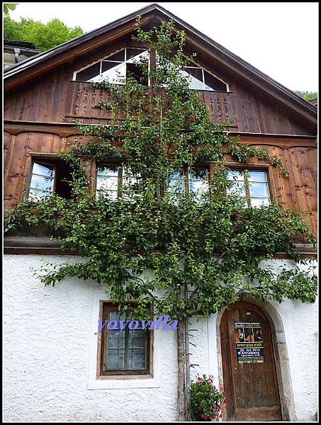 奧地利 哈爾施塔特 Hallstatt, Austria 奧地利 哈爾施塔特 Hallstatt, Austria