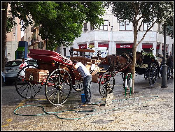 西班牙 帕爾馬 港口區 Harbor area, Palma, Spain