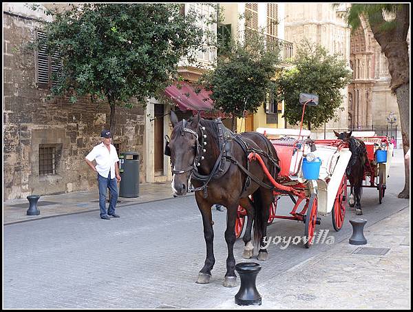 西班牙 帕爾馬 港口區 Harbor area, Palma, Spain