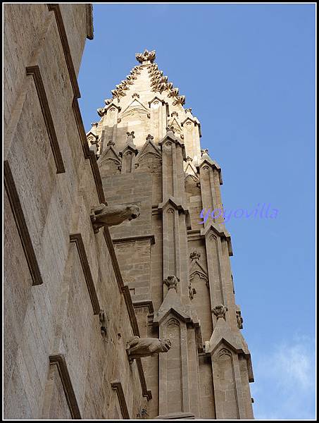 西班牙 帕爾馬 港口區 Harbor area, Palma, Spain