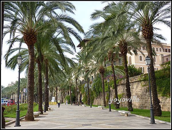 西班牙 帕爾馬 港口區 Harbor area, Palma, Spain