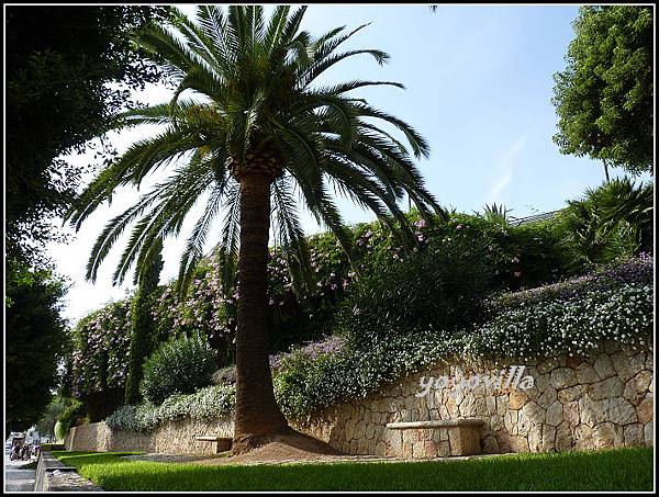 西班牙 帕爾馬 港口區 Harbor area, Palma, Spain