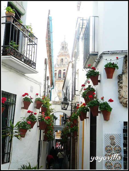 Cordoba 科爾多瓦/哥多華 Spain Cordoba 科爾多瓦/哥多華 Spain