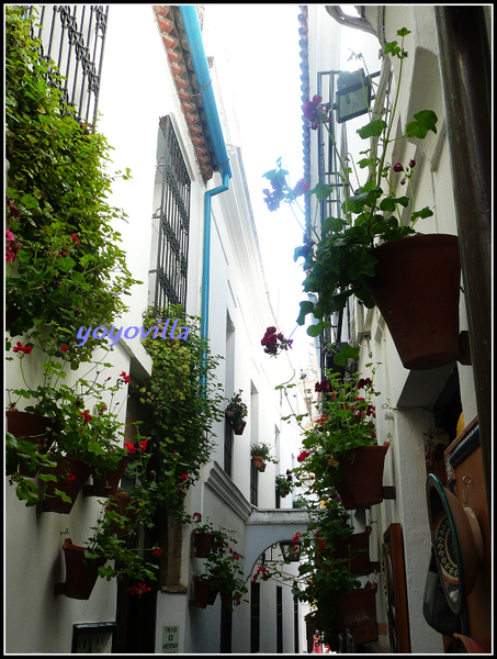 Cordoba 科爾多瓦/哥多華 Spain Cordoba 科爾多瓦/哥多華 Spain