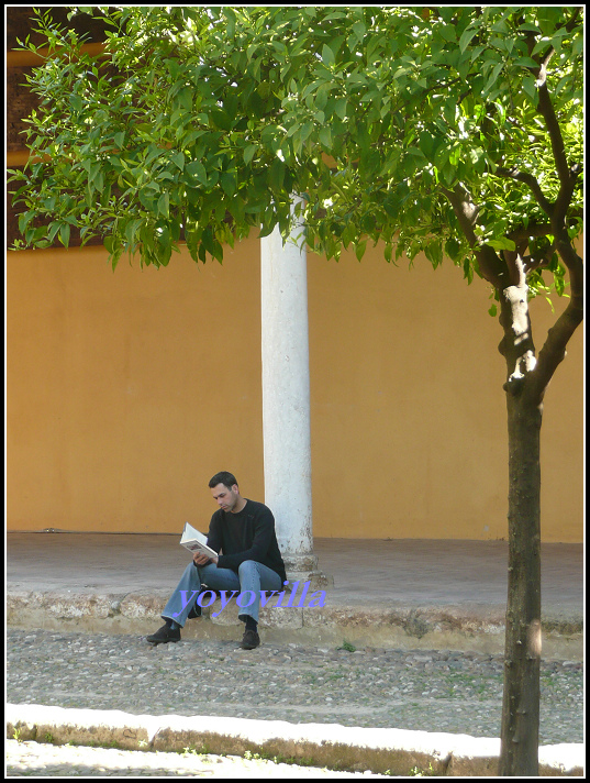 西班牙 哥多華 清真寺 Mezquita, Cordoba, Spain 西班牙 哥多華 清真寺 Mezquita, Cordoba, Spain