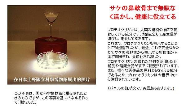 2014-03-06_二型膠原蛋白故事部落格文章5_anita 2014-03-06_二型膠原蛋白故事部落格文章5_anita