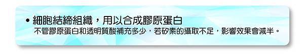 2014-03-25_矽素06_anita 2014-03-25_矽素06_anita