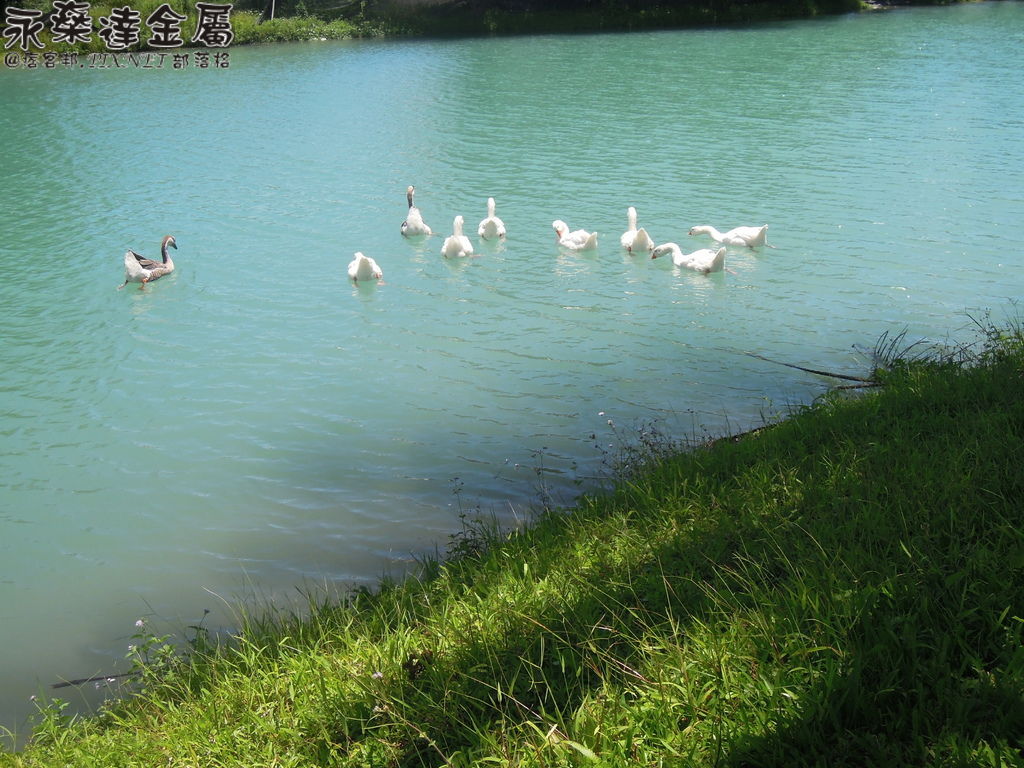 DSCN0439 DSCN0439