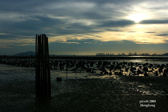 sunset拷貝.jpg sunset拷貝.jpg