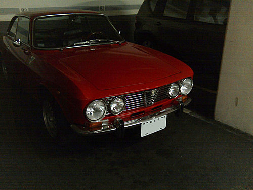 車友街拍---Alfa Romeo GTV