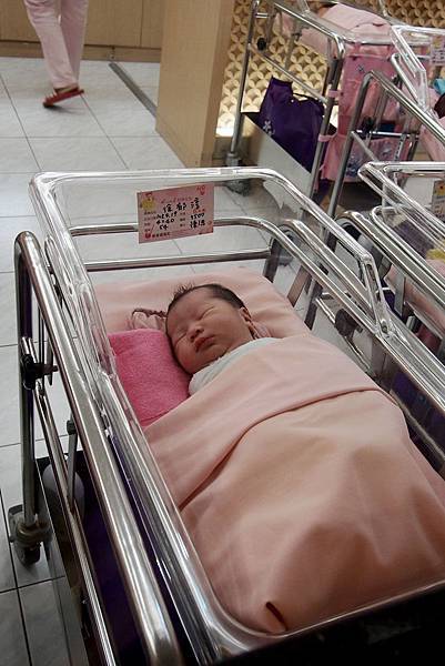 P4191578 拷貝.jpg P4191578 拷貝.jpg