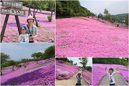 0606_day 2瀧上芝櫻公園