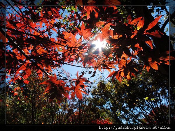 20131027_04.JPG 20131027_04.JPG