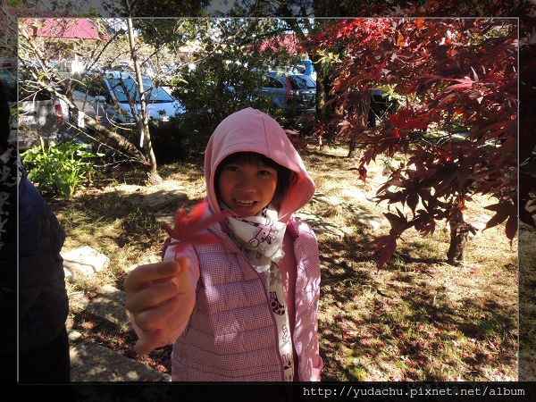 20131027_03.JPG 20131027_03.JPG