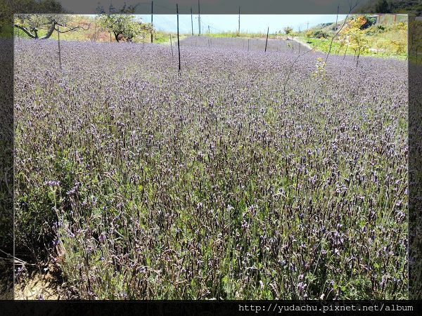 20131027_07.JPG 20131027_07.JPG