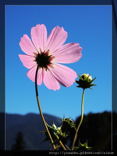 20131027_08.JPG 20131027_08.JPG