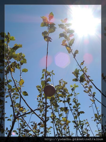 20131027_09.JPG 20131027_09.JPG