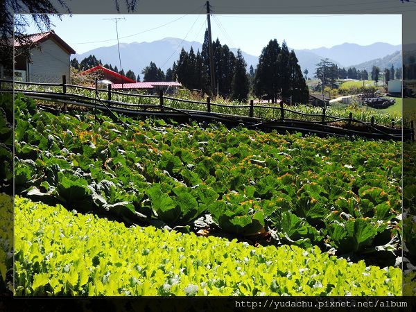 20131027_11.JPG 20131027_11.JPG