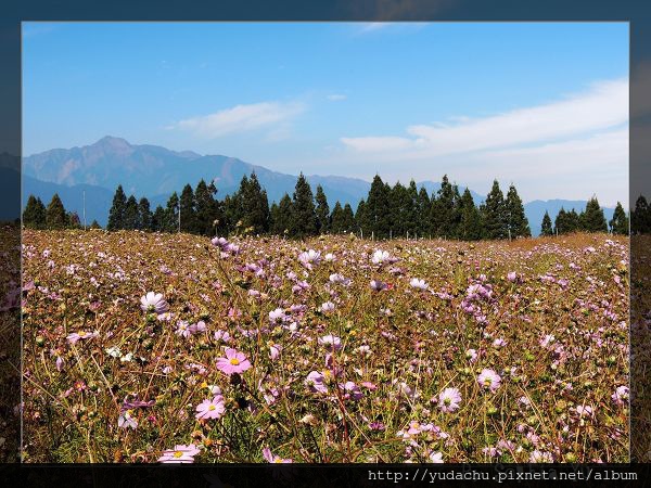 20131027_12.JPG 20131027_12.JPG