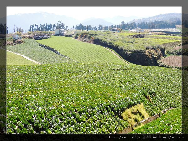 20131027_10.JPG 20131027_10.JPG