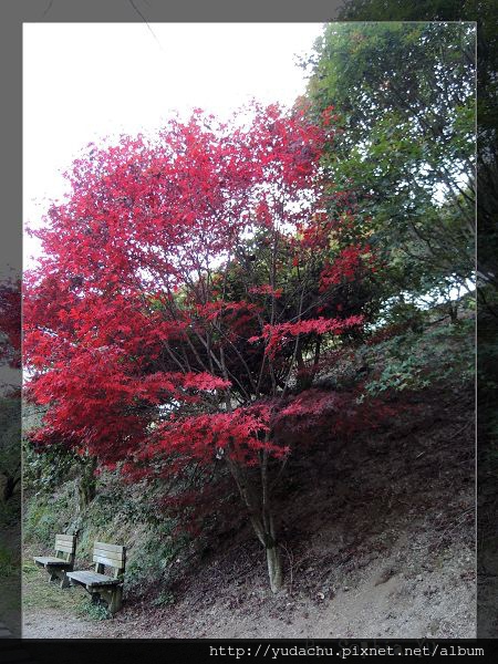 20131027_15.JPG 20131027_15.JPG