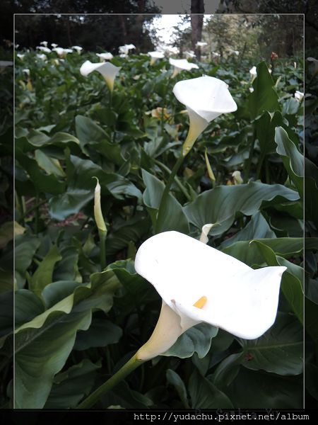 20131027_16.JPG 20131027_16.JPG