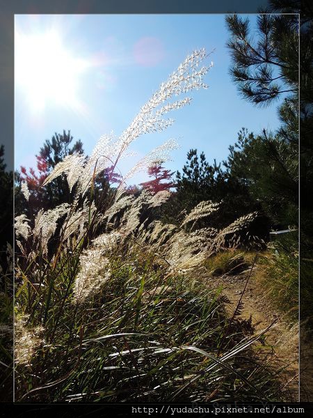 20131027_14.JPG 20131027_14.JPG