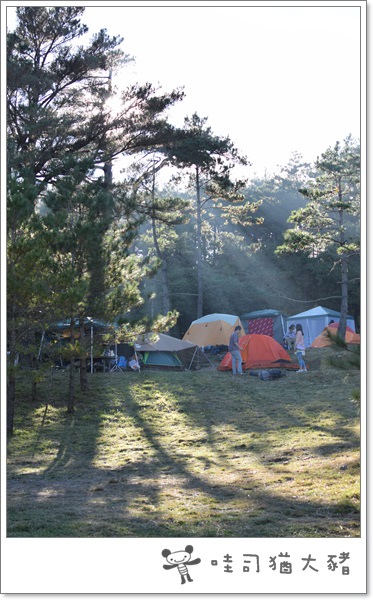 DSC_0217.JPG DSC_0217.JPG