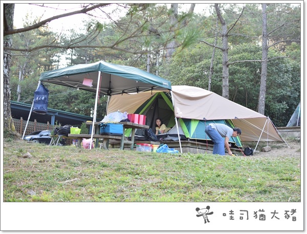 DSC_0125.JPG DSC_0125.JPG