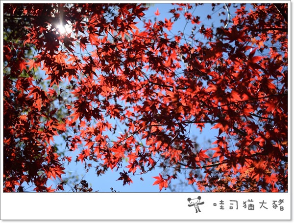 DSC_0152.JPG DSC_0152.JPG