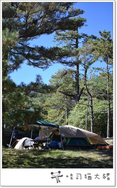 DSC_0146.JPG DSC_0146.JPG