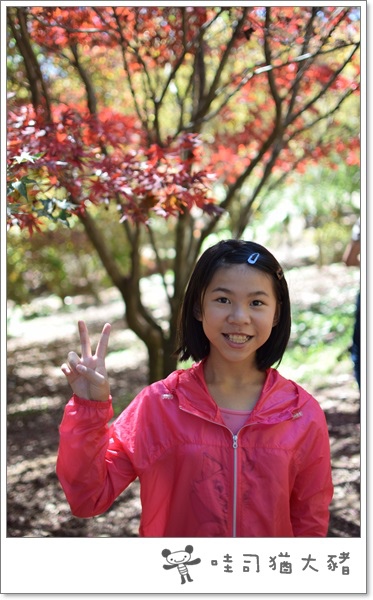 DSC_0165.JPG DSC_0165.JPG