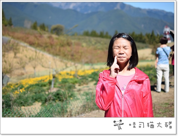 DSC_0178.JPG DSC_0178.JPG