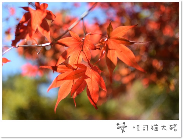 DSC_0171.JPG DSC_0171.JPG