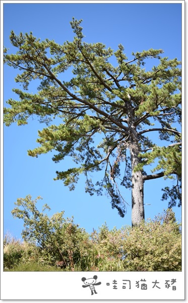 DSC_0179.JPG DSC_0179.JPG