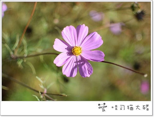 DSC_0180.JPG DSC_0180.JPG