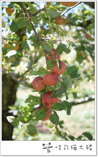 DSC_0185.JPG DSC_0185.JPG