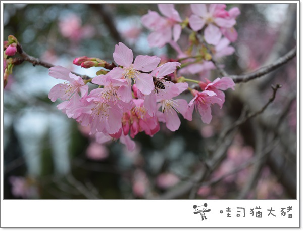 20150228-11.JPG 20150228-11.JPG