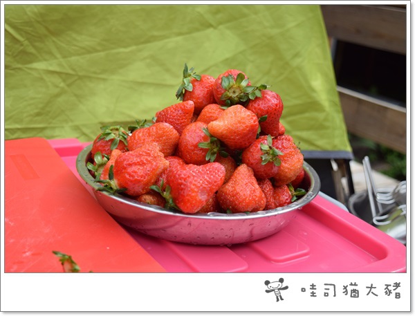 20150301-25.JPG 20150301-25.JPG