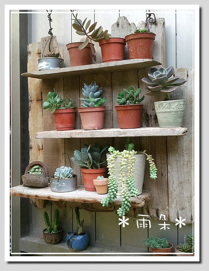 漂流木花架1 漂流木花架1