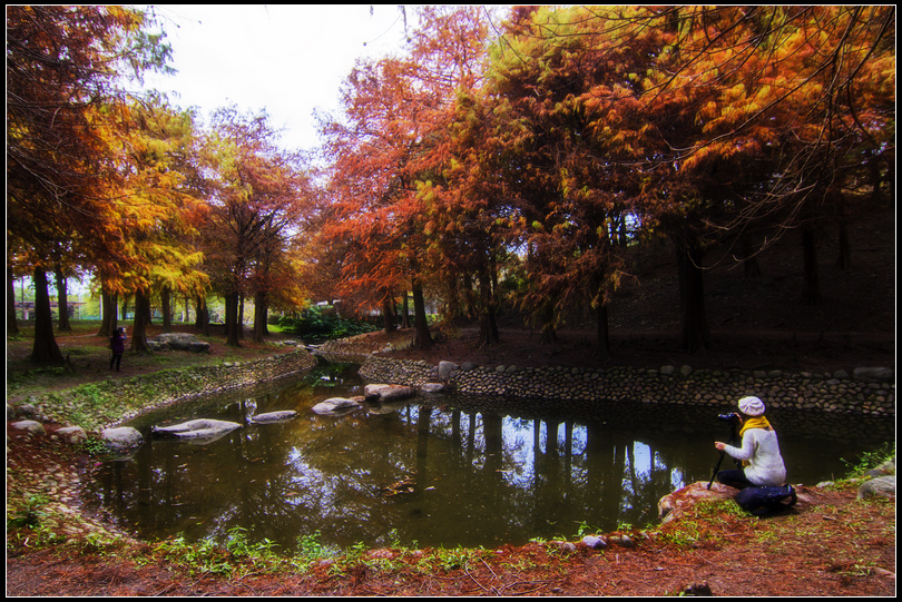 _MG_5015 運動公園 WS