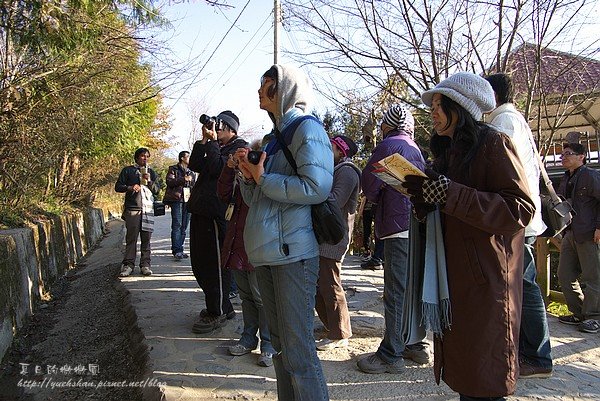 司馬庫斯 (33).jpg