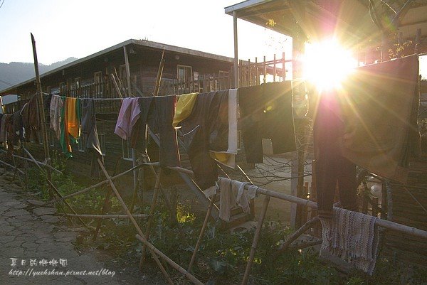 司馬庫斯 (36).jpg